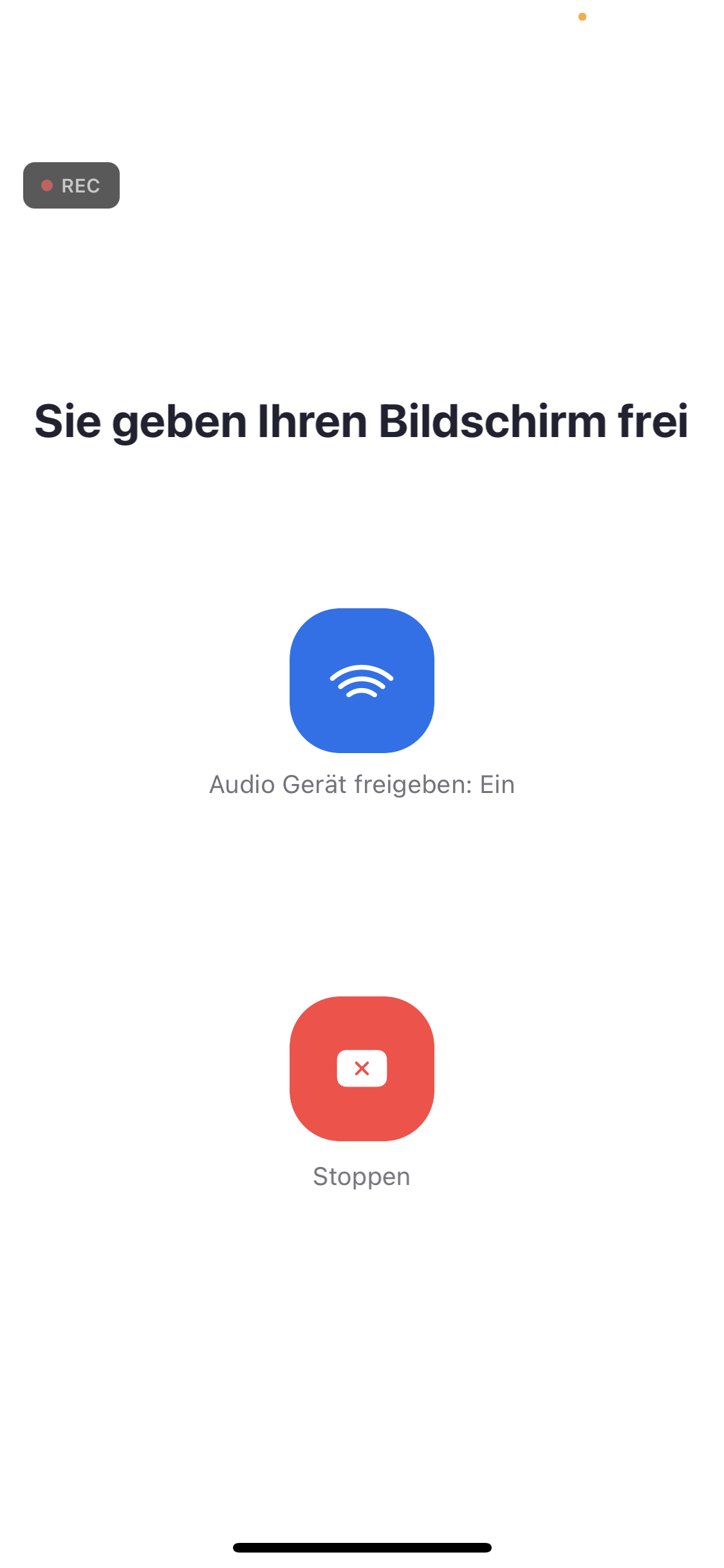 share_screen.PNG