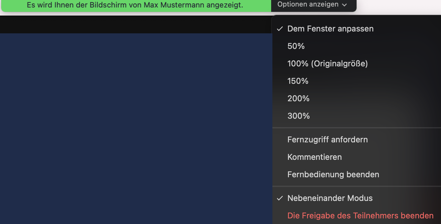 screen_options.png